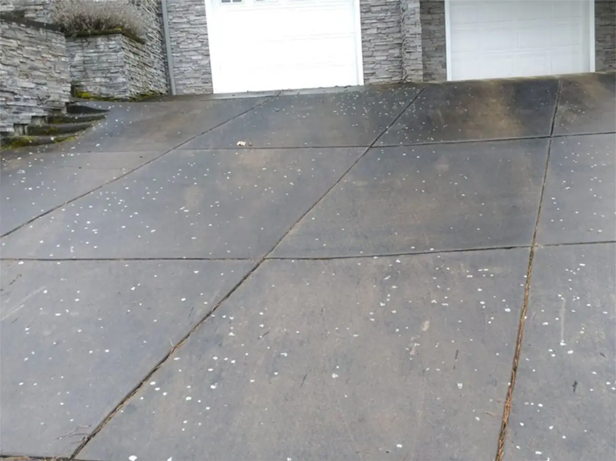 Before photo - Before